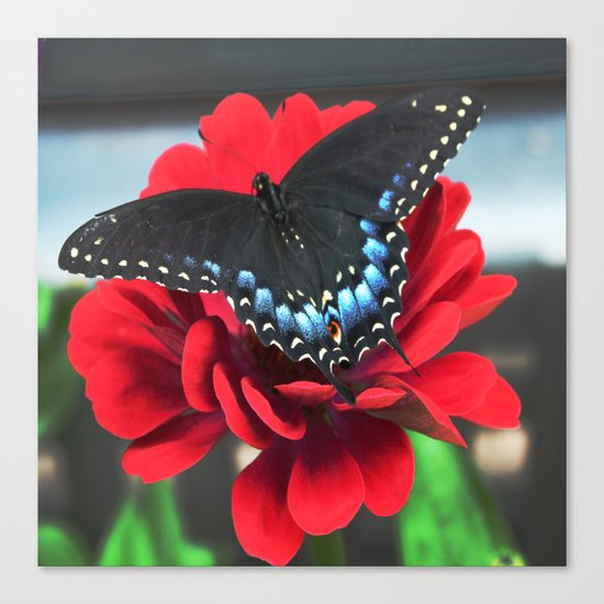 RED BLUE AND BLACK Canvas Print
