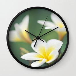 in the happy garden Wall Clock | Other, Color, Digital, Frangipani, Hawaii, Nature, Puamelia, Photo, Floral, Aloha 