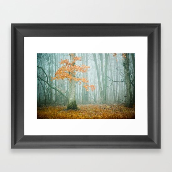 Autumn Woods Framed Art Print