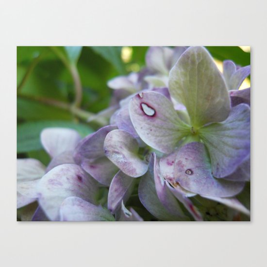 Fairy's Bed Canvas Print