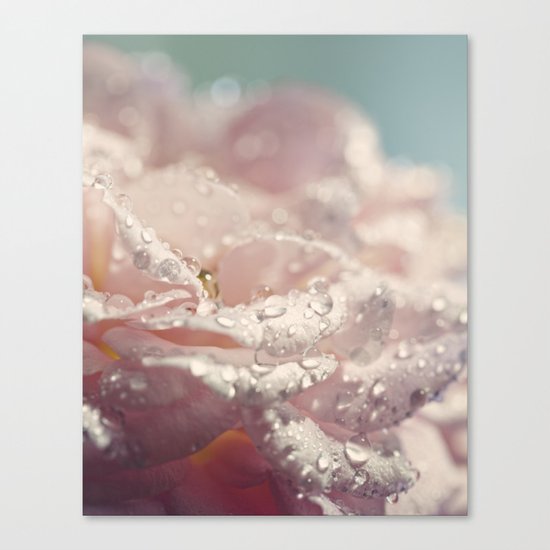 pretty in pink Canvas Print