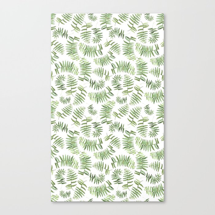 Watercolor Fern Fronds on White Canvas Print