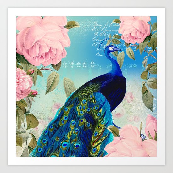 Peacock & Pink Roses Art Print