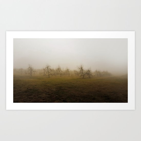 Orchard 2 Art Print