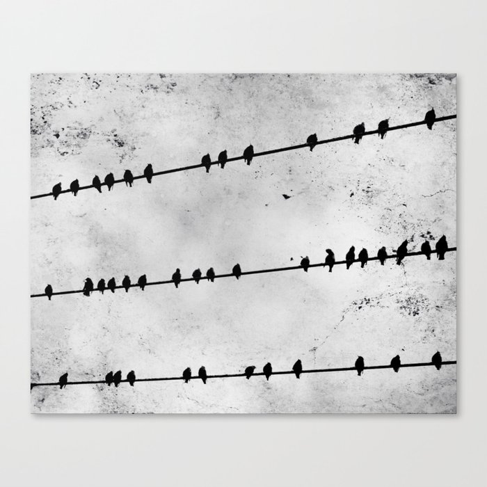 Birds on a Wire Canvas Print