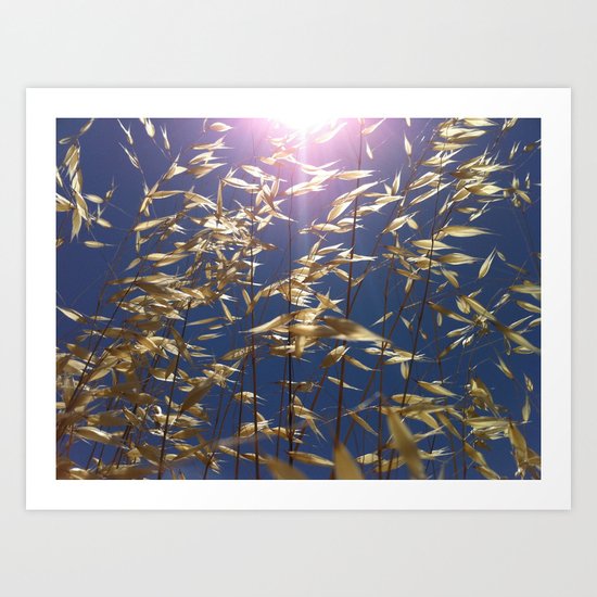 Unfiltered Art Print