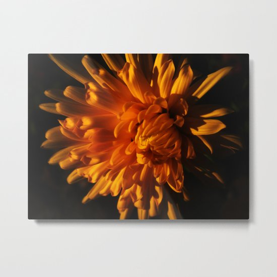 Autumn Flower Metal Print