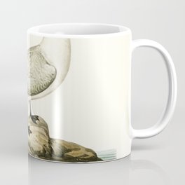Ferruginous duck male (Nyroca fuligule) illustrated by the von Wright brothers Coffee Mug