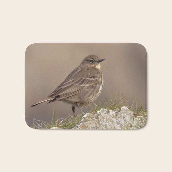 Rock Pipit Bath Mat