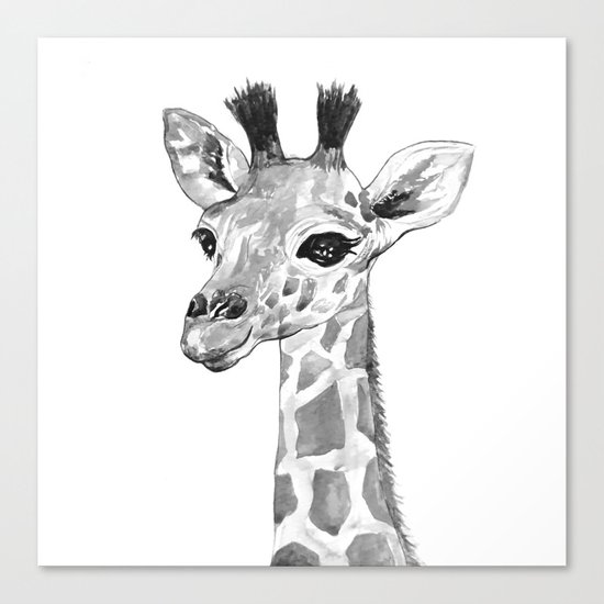 baby giraffe, black and white Canvas Print