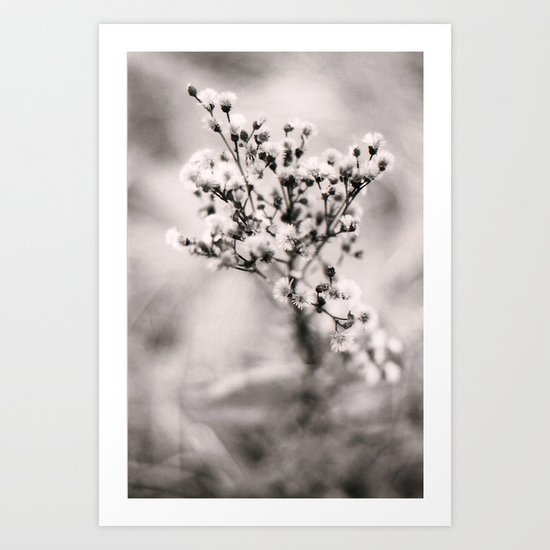 shoot Art Print