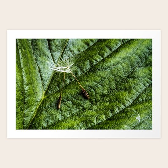 couple Art Print