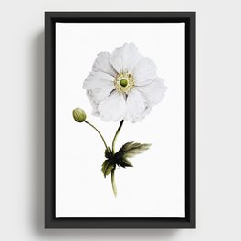anemone Framed Canvas