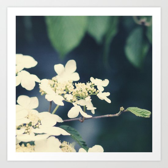 floral Art Print