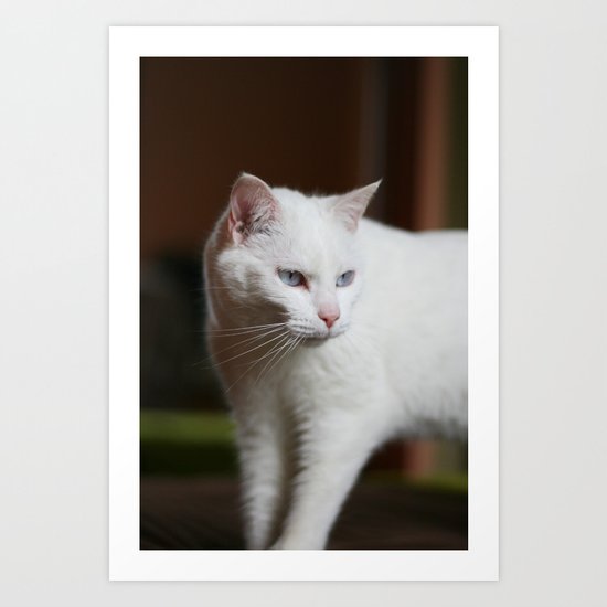 Terry Art Print