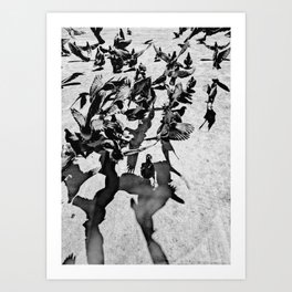 Birds 3 Art Print