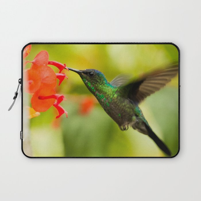 Brazil Photography - A Beautiful Green Humming Bird In Brazil Laptop Sleeve