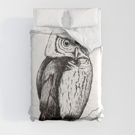 The Owl Comforters