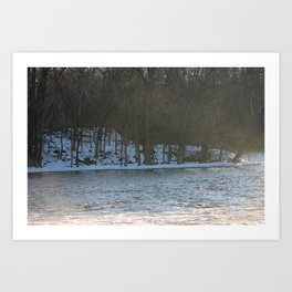 River and Trees Art Print