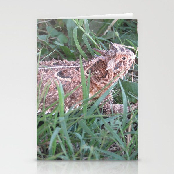 Tx Horny Toad Stationery Cards