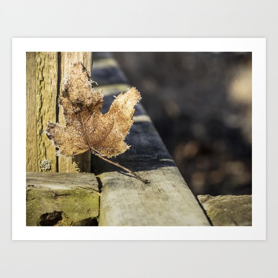 hanging out Art Print