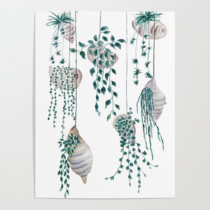 hanging plant in seashell Poster