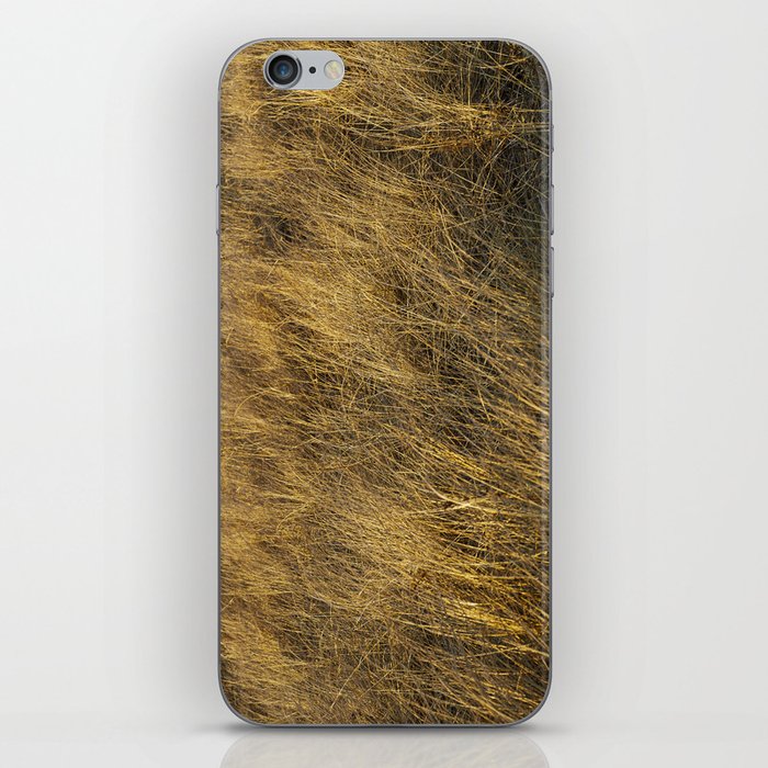 Montauk Grass Sand Dunes iPhone Skin