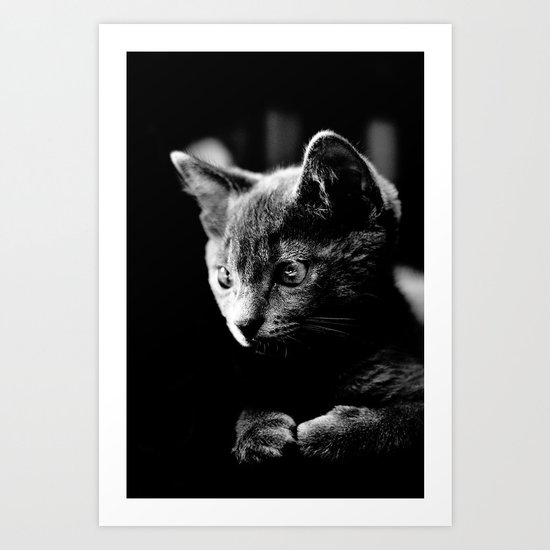 black and white kitten Art Print