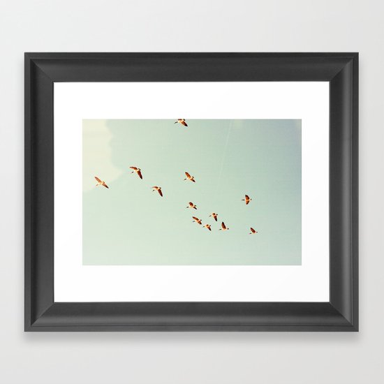 Birds Framed Art Print