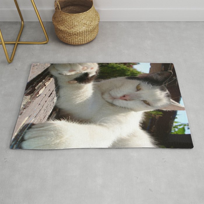 Black and White Bicolor Cat Lounging on A Park Bench Rug