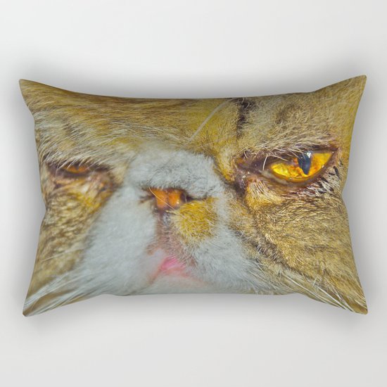LOKI Rectangular Pillow