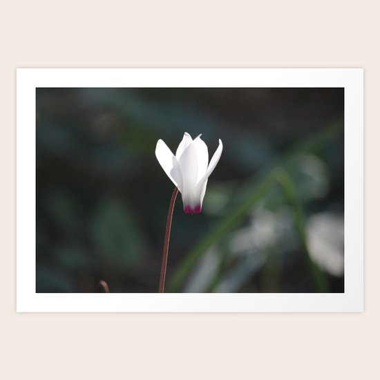 Guardian Angel Art Print