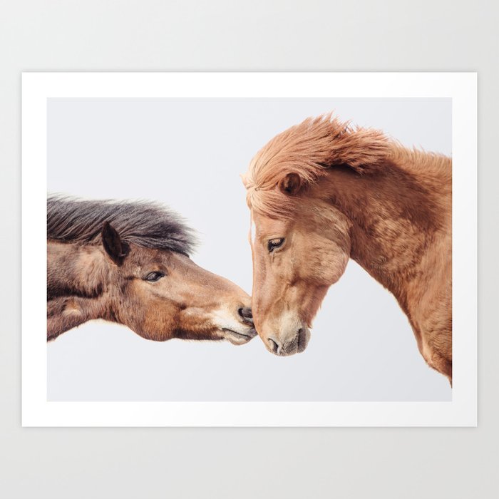 Horse Love - Nature Photography Art Print