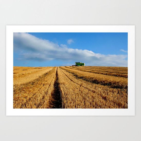 Harvest on Romney Marsh Art Print
