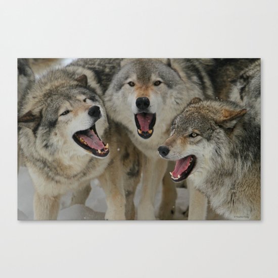 Watching Youtube Canvas Print