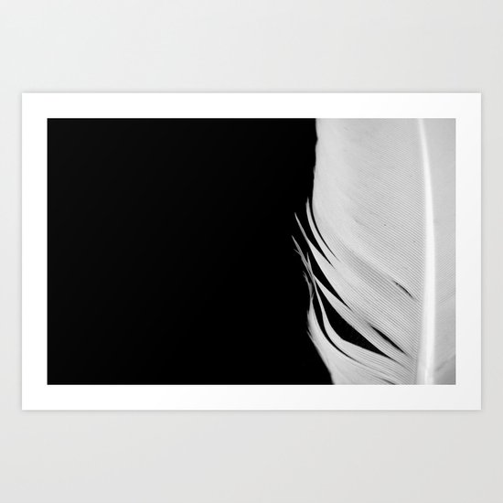 White Feather Art Print
