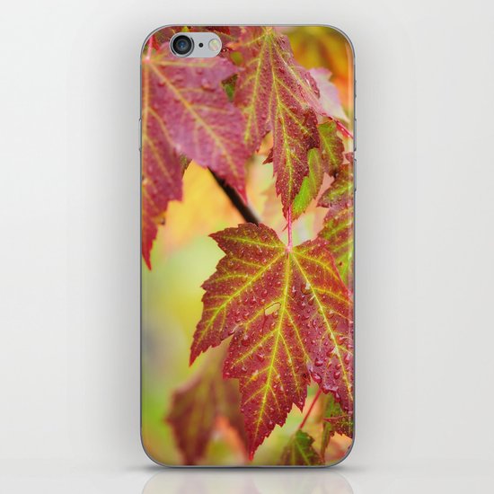 Maple Leaves iPhone Skin