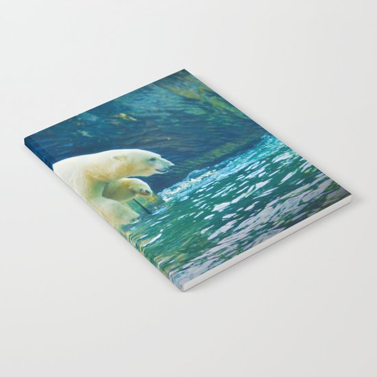 Polar Notebook