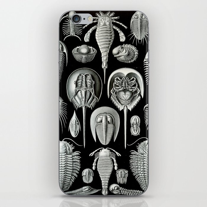 Trilobites and Fossils by Ernst Haeckel iPhone Skin
