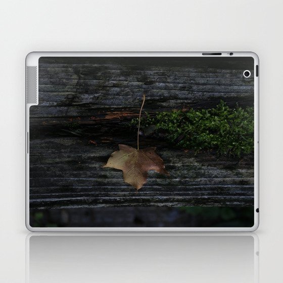 Small Leaf, in a Dark, Dark Place Laptop & iPad Skin