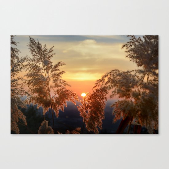 "Sun through the fields" Sunset at the mountains Canvas Print