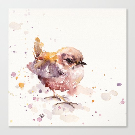 Fluffy Le Wren Canvas Print