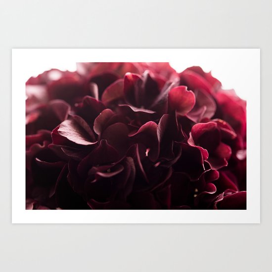 burgundy florals Art Print