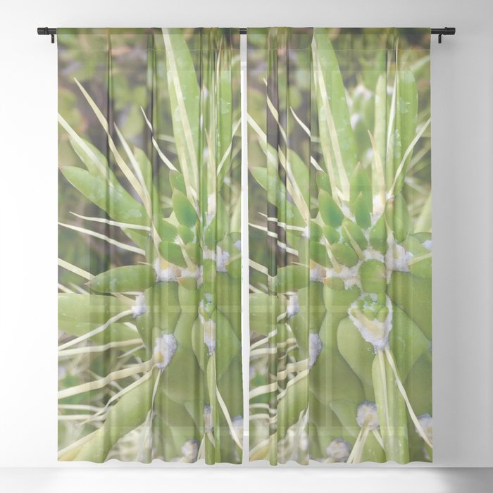Cactus Close-Up 2 Sheer Curtain