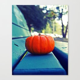Park bench pumpkin Canvas Print
