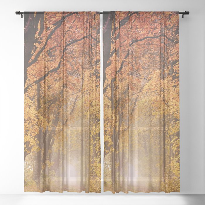 Autumn Fall Forest Path -  Nature Landscape Photography Sheer Curtain