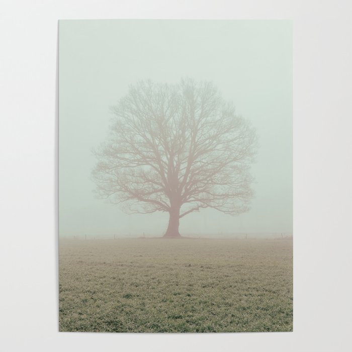 Oak tree Poster