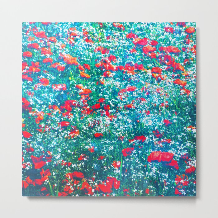 bright red and blue green field of wildflowers vintage photo effect Metal Print