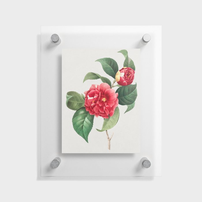 Choix des plus belles fleurs by Pierre-Joseph Redouté Floating Acrylic Print