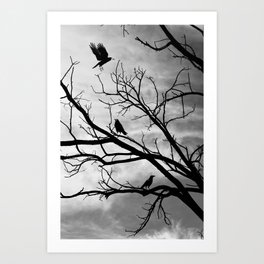 Crows on a Tree Silhouette Art Print
